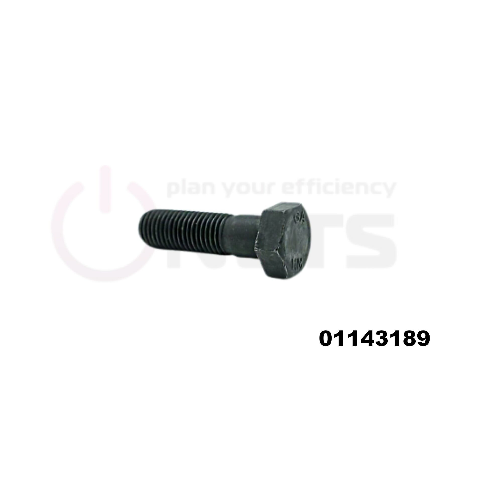 ALTIGEN CİVATA 01143189