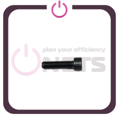 Cheese Head Screw - 01110578