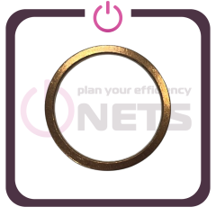 Sealing Ring - 01118748