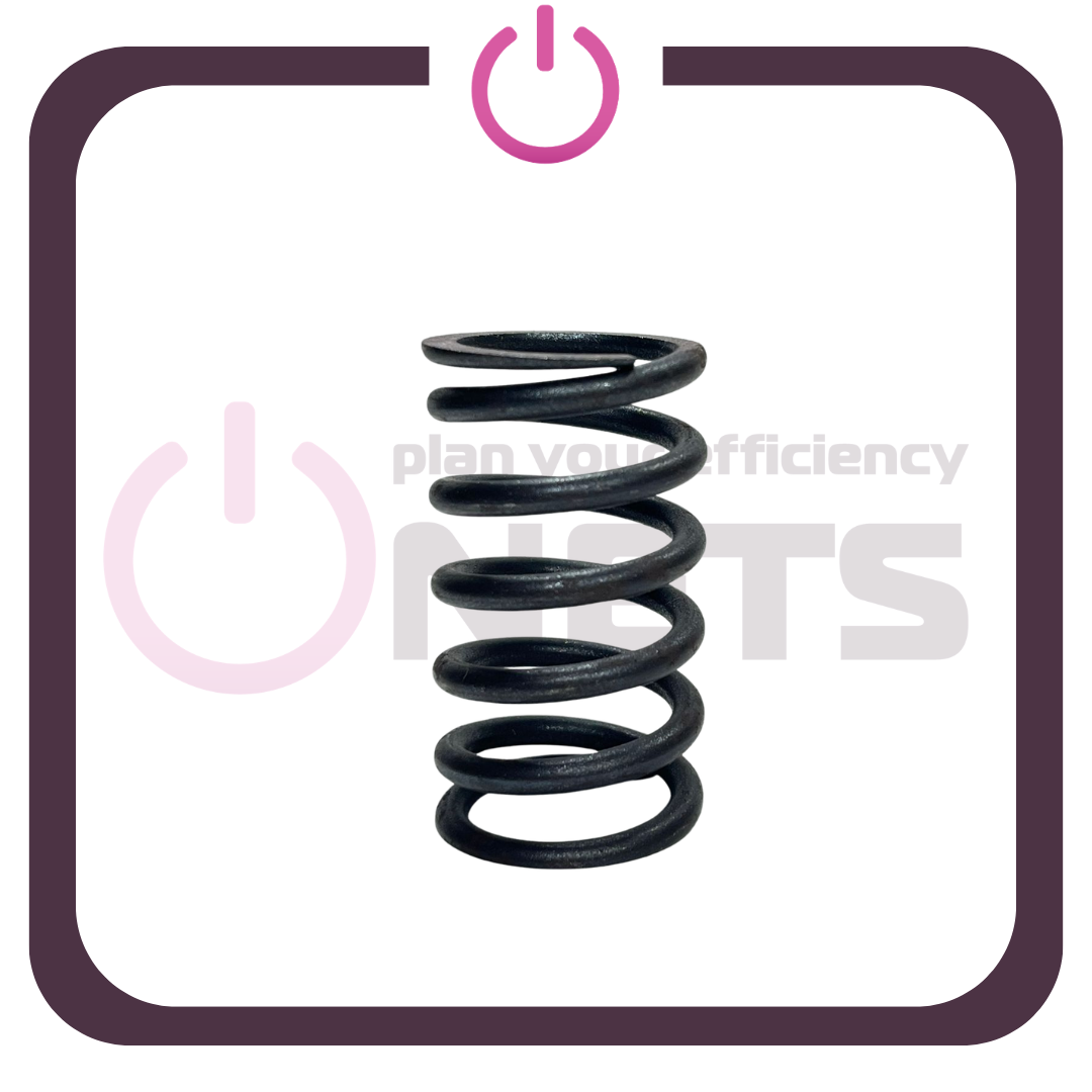 Valf Yayı / Valve Spring - 04221153