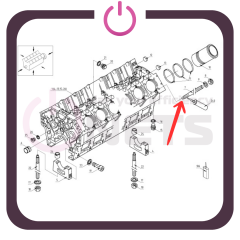 Pimli Civata / Stud - 12303038