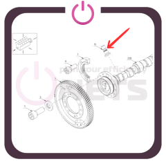 Valf İticisi / Valve Tappet - 12340019