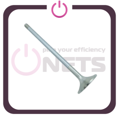Egzoz Valfi / Exhaust Valve - 12454246