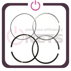 Piston Segman Takımı / Set Of Piston Rings - 12217076
